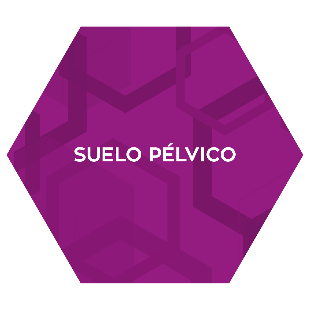 suelo pelvico fisioleon