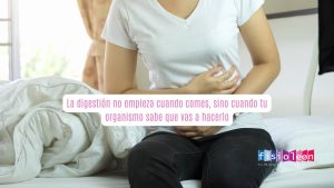 La digestión no empieza cuando comes, sino cuando tu organismo sabe que vas a hacerlo